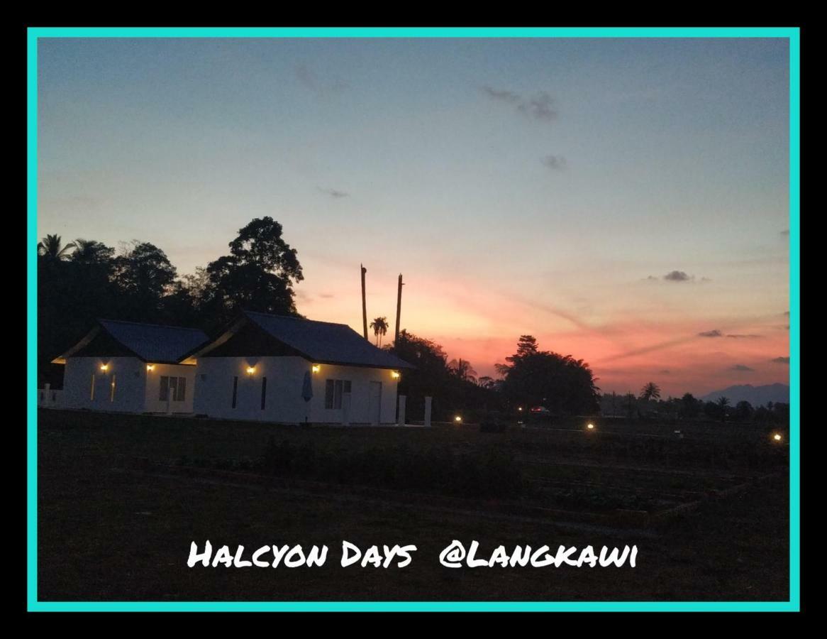 Halcyon Days @ Langkawi Apartamento Pantai Cenang  Exterior foto